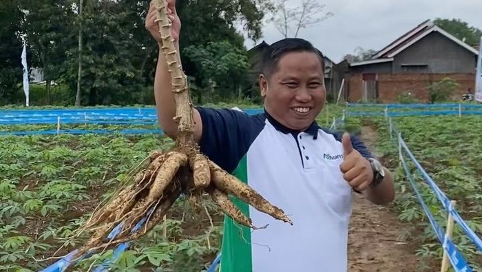 Lama Tak Terlihat dari Dunia Hiburan, Narji dan Istri Kini Tekuni Dunia Pertanian