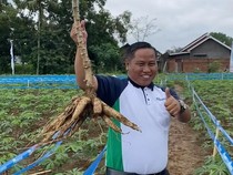Narji Punya Lahan 1.000 Hektar hingga Indomie Jadi Mie Instan Terenak