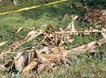 Bayi Dibuang di Pasuruan Dikembalikan ke Ibunya yang Masih 16 Tahun