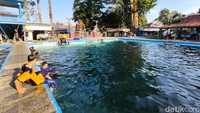 Setelah melewati pintu masuk berlanjut menuju area kolam renang yang dipenuhi dengan Ikan Dewa Cibulan