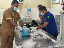 Sudah 310 Potongan Tubuh Korban Mutilasi Pria asal Labuhanbatu Ditemukan
