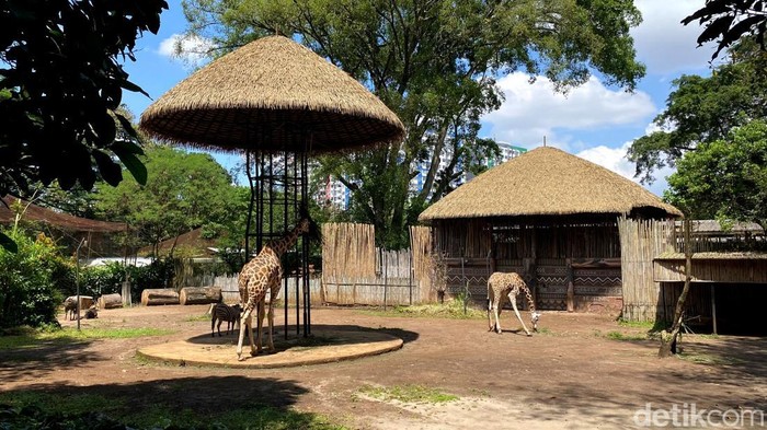 Bandung Zoo Bakal Diambil Alih Pemerintah Pusat
