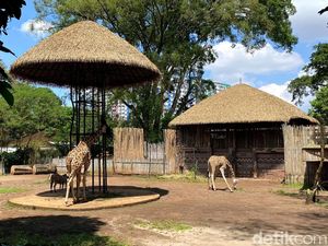Bandung Zoo Bakal Diambil Alih Pemerintah Pusat