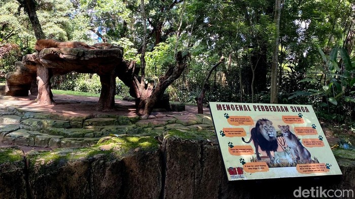 Suasana terkini di Kebun Binatang Bandung.