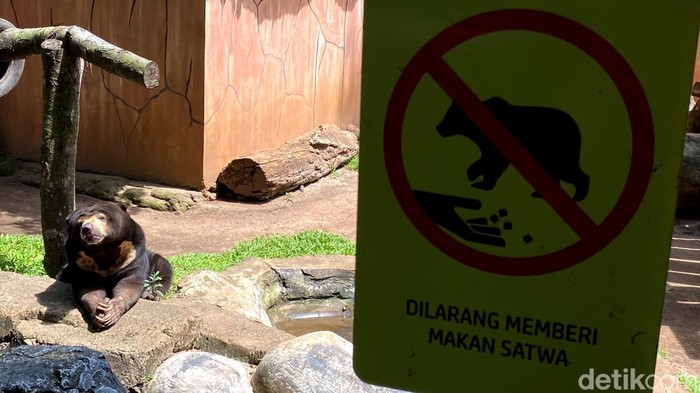 Suasana terkini di Kebun Binatang Bandung.