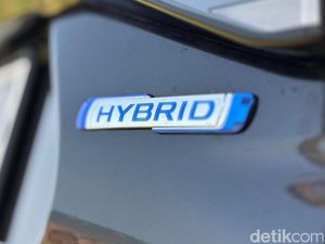 Penjualan Mobil Hybrid Naik, Airlangga Sebut Masyarakat Mulai Sadar