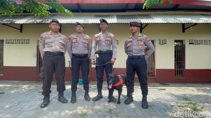 Anjing Pelacak Ketty Ungkap Identitas Korban Mutilasi Pacet, Begini Peran Unit K-9 Polda Jatim
