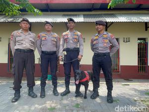 Cerita Ketty Anjing K-9 Ikut Ungkap Kasus Mutilasi Tiara