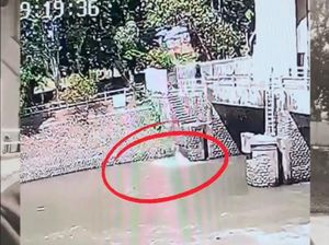 Diduga Bunuh Diri, Pria di Surabaya Lompat ke Sungai Jagir Terekam CCTV