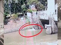 Diduga Bunuh Diri, Pria di Surabaya Lompat ke Sungai Jagir Terekam CCTV