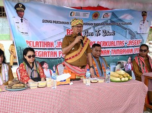 Pemkab Kupang Terima Rp 500 Miliar untuk Program MBG