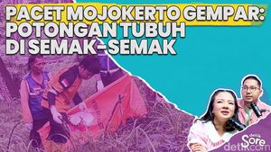 Video: Di Balik Penemuan Ratusan Potongan Tubuh Manusia di Mojokerto