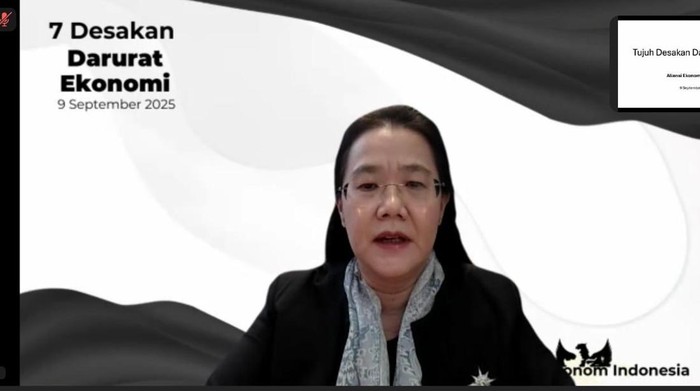 Inisiator Aliansi Ekonom Indonesia, Lili Yan Ing dalam acara Konferensi Pers Desakan Aliansi Ekonom Indonesia secara virtual.