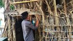 Potret Pria Asal Sidoarjo Tinggal di Pohon Beringin