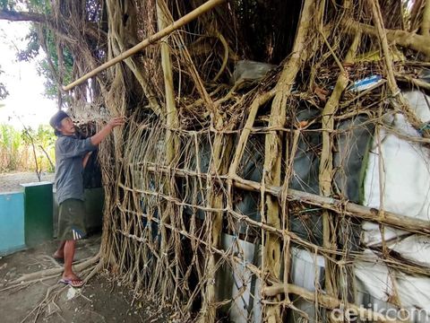 Jalal sehari-harinya menghabiskan waktu dirumah pohon untuk mencari ketenangan hati.