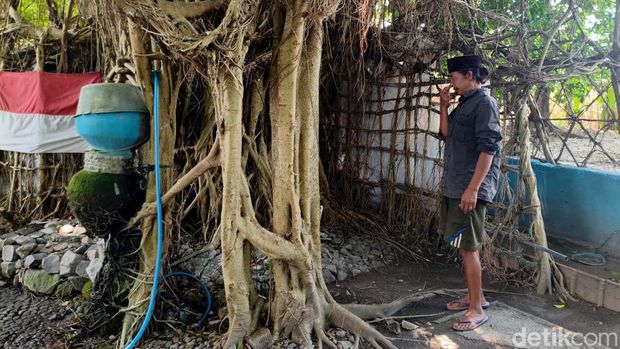 Jalal sehari-harinya menghabiskan waktu dirumah pohon untuk mencari ketenangan hati.