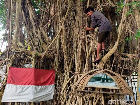 Jalal sehari-harinya menghabiskan waktu dirumah pohon untuk mencari ketenangan hati.