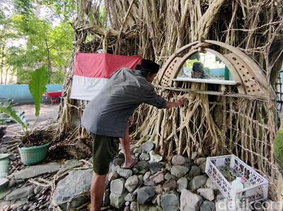 Potret Pria Asal Sidoarjo Tinggal di Pohon Beringin
