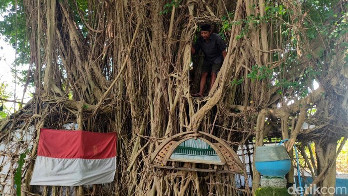 Jalal sehari-harinya menghabiskan waktu dirumah pohon untuk mencari ketenangan hati.