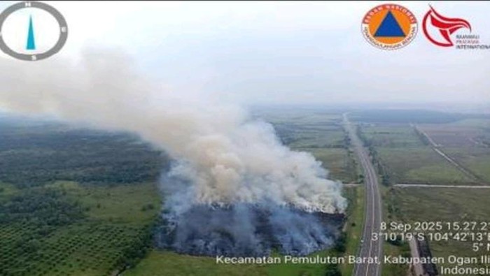 Lahan di samping Tol Palindra terbakar