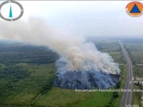 Lahan Seluas 4 Hektare di Samping Tol Palindra Terbakar, Sudah Padam