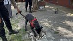 Mengenal Unit Satwa K-9 Polda Jatim yang Bantu Bongkar Kasus Mulitasi