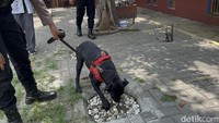 Anjing jenis labrador bernama Kety ini yang berhasil menemukan potongan telapak tangan korban mutilasi di Pacet. Anjing pelacak ini setiap hari dilatih mencari jejak dan menemukan sesuatu..Inbox