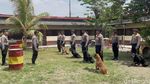 Mengenal Unit Satwa K-9 Polda Jatim yang Bantu Bongkar Kasus Mulitasi