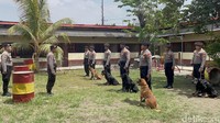 Sejumlah petugas polisi sedang melakukan apel pagi di Unit Satwa K-9 Ditsamapta Polda Jatim yang berada di Jalan Letjend Sutoyo, Medaeng, Waru, Sidoarjo.