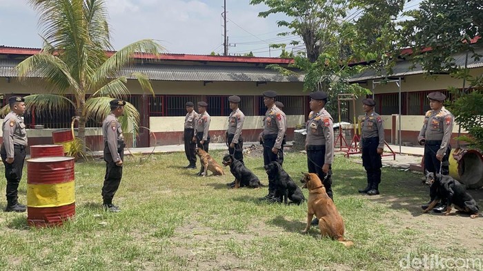 Mengenal Unit Pol Satwa K9 Ditsamapta Polda Jatim