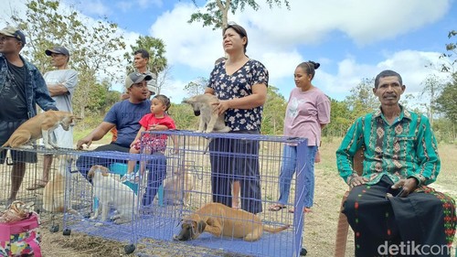 Suasana vaksinasi rabies di Kelurahan Naioni, Kecamatan Alak, Kota Kupang, NTT, Selasa (9/9/2025). (Foto: Simon Selly/detikBali)