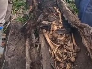 Kronologi Warga Temukan Kerangka Manusia Dalam Pohon di Sergai