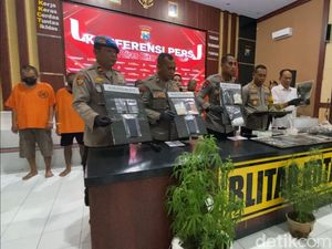 Fakta Baru Ladang Ganja di Blitar: Jual Ganja Kering Rp 5 Juta Per Kg