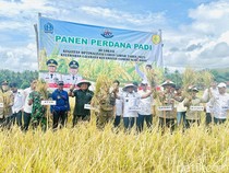 Bupati Bone Sambut Baik Harga Pupuk Turun 20%: Ringankan Beban Petani