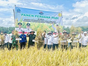 Bupati Bone Sambut Baik Harga Pupuk Turun 20%: Ringankan Beban Petani