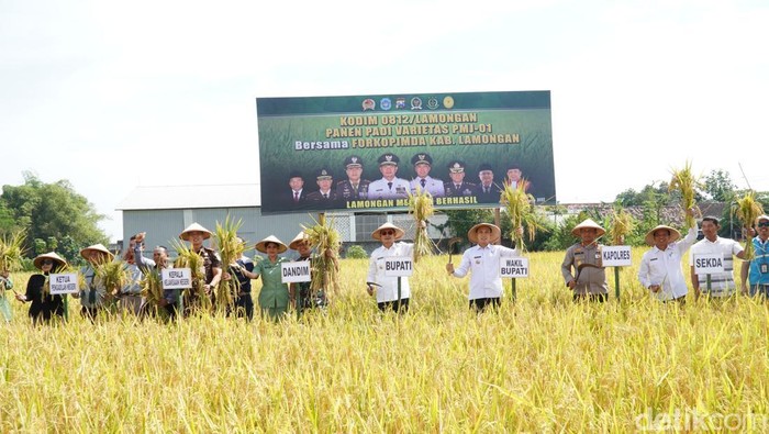 Bupati Lamongan Yuhronur Efendi bersama Forkopimda lakukan panen padi