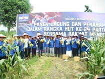 Demokrat Riau Pilih Rayakan Hari Jadi ke-24 & HUT SBY Bersama Petani Panen Jagung