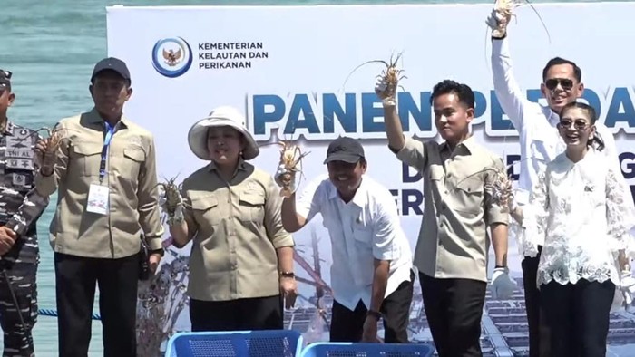 Gibran-Titiek Soeharto di Panen Lobster di Batam
