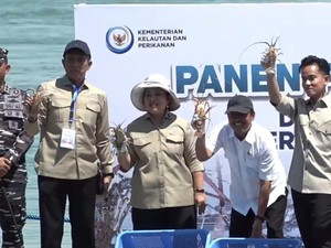 Gibran Panen Lobster Didampingi Titiek Soeharto: Terima Kasih Dukungannya Bu