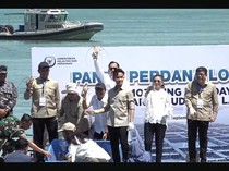 Gibran Minta Daerah Lain Contoh Batam Budi Daya Lobster