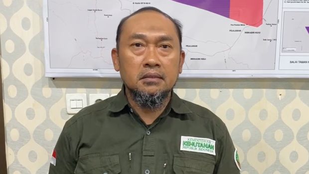 Kepala Balai Taman Nasional Tesso Nilo, Heru Sumantoro menjelaskan soal kematian anak gajah bernama Tari, pada Rabu (10/9/2025).