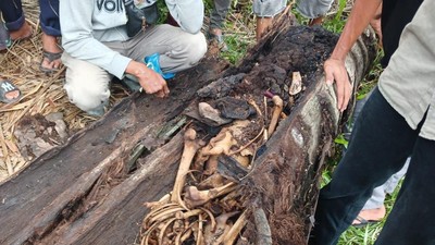 Potret Kerangka Manusia Dalam Pohon Aren di Sergai