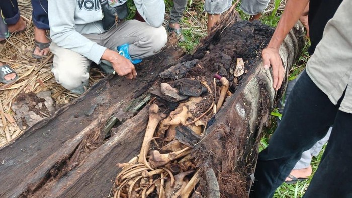 Kerangka manusia ditemukan di pohon yang ada di wilayah Kabupaten Serdang Bedagai
