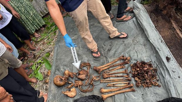 Kerangka manusia ditemukan di pohon di Serdang Bedagai