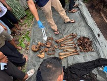 Langkah Terbaru Mengungkap Misteri Kerangka Manusia dalam Pohon di Sumut