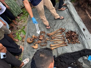 Langkah Terbaru Mengungkap Misteri Kerangka Manusia dalam Pohon di Sumut