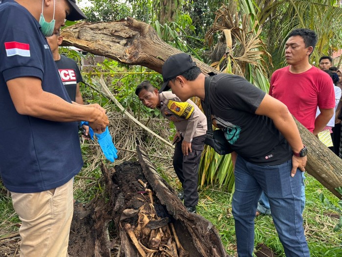 Kerangka manusia ditemukan di pohon di Sergai