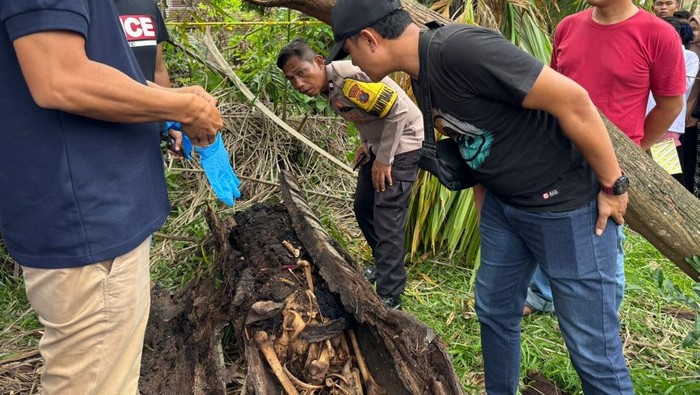 Kerangka manusia ditemukan di pohon di Sergai