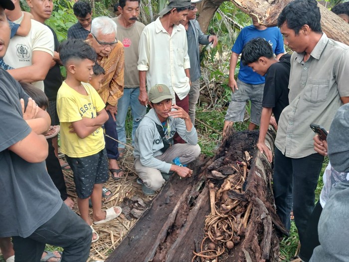 Kerangka manusia yang ditemukan di dalam pohon aren di Sergai, Sumut. (Dok. Polres Sergai)