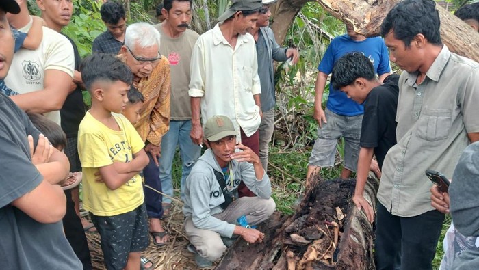 Kerangka manusia yang ditemukan di dalam pohon aren di Sergai, Sumut. (Dok. Polres Sergai)